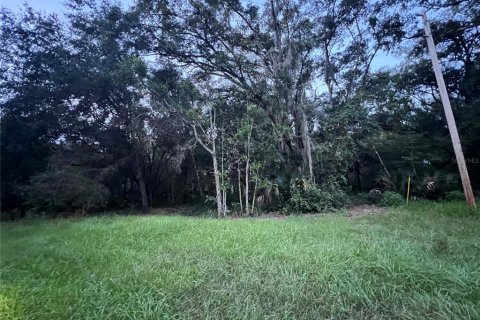 Land in Crescent City, Florida № 2387406 - photo 14