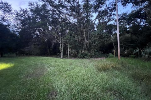 Land in Crescent City, Florida № 2387406 - photo 10