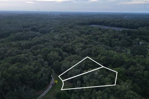 Land in Crescent City, Florida № 2387406 - photo 26