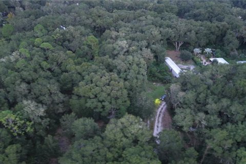 Land in Crescent City, Florida № 2387406 - photo 8