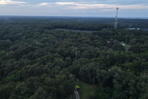 Land in Crescent City, Florida № 2387406 - photo 13