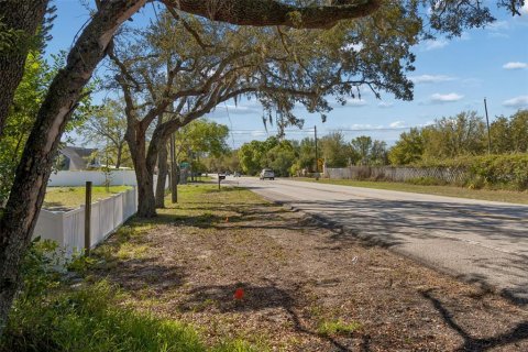 Terreno en venta en Odessa, Florida № 2218687 - foto 12