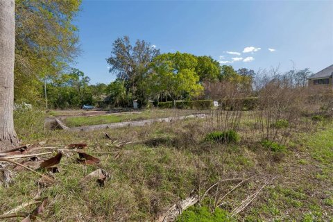 Terreno en venta en Odessa, Florida № 2218687 - foto 9