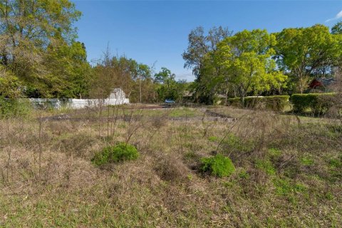Terreno en venta en Odessa, Florida № 2218687 - foto 8