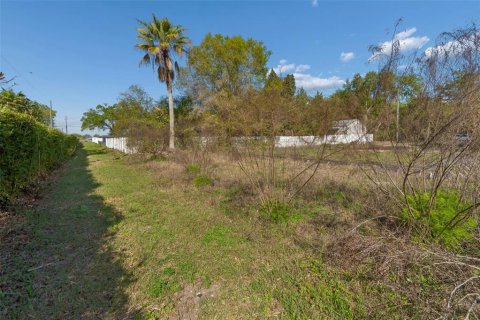 Terreno en venta en Odessa, Florida № 2218687 - foto 7