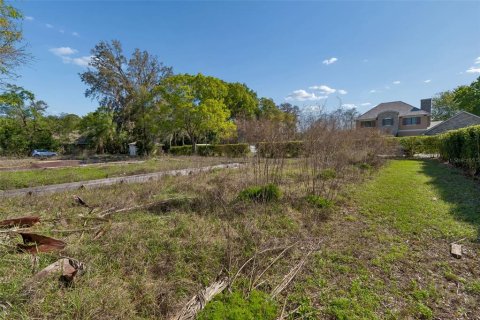 Terreno en venta en Odessa, Florida № 2218687 - foto 10