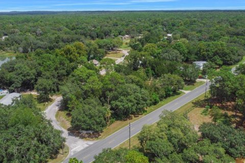 Terreno en venta en Homosassa, Florida № 221105 - foto 4