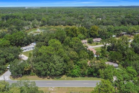 Terreno en venta en Homosassa, Florida № 221105 - foto 1