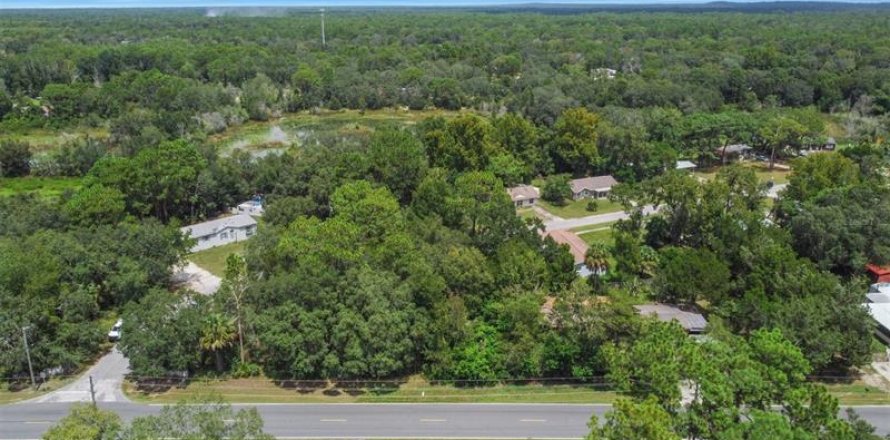 Terreno en Homosassa, Florida № 221105