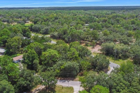 Terreno en venta en Homosassa, Florida № 221105 - foto 9