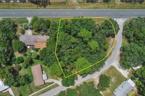 Terreno en venta en Homosassa, Florida № 221105 - foto 3