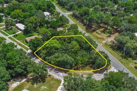 Terreno en venta en Homosassa, Florida № 221105 - foto 11