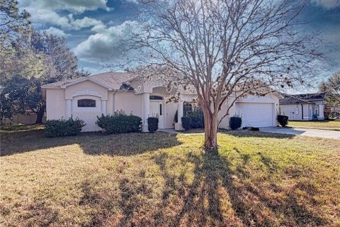 House in Palm Coast, Florida 3 bedrooms, 219.44 sq.m. № 2287160