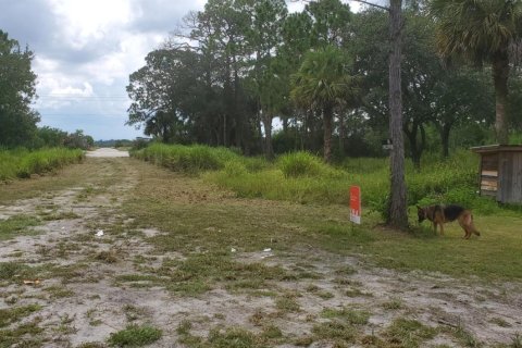 Land in Vero Beach, Florida № 723577 - photo 1