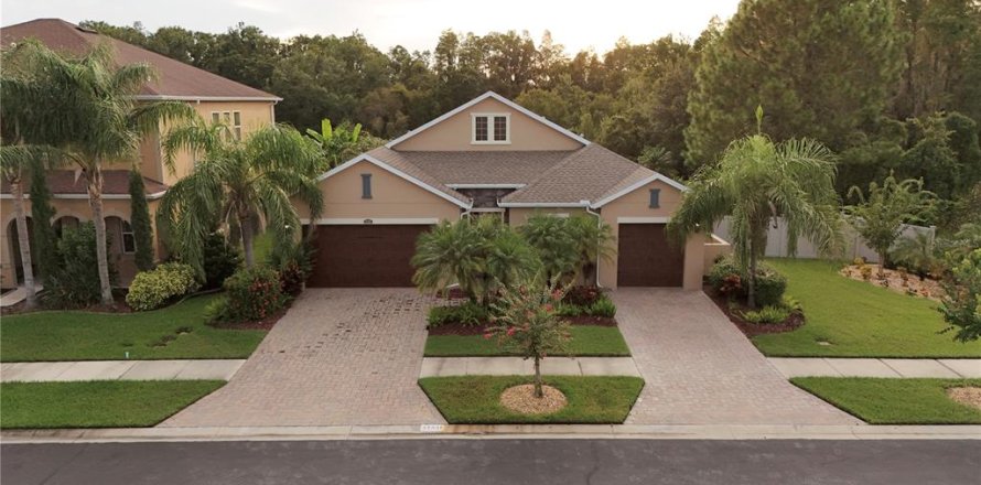 Villa ou maison à Wesley Chapel, Floride 4 chambres, 243.13 m2 № 1903413