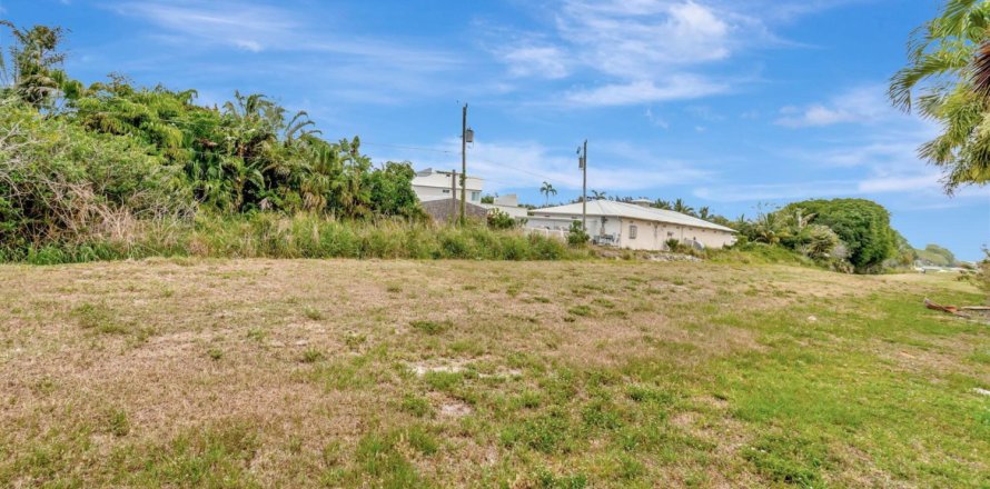 House in Delray Beach, Florida 4 bedrooms, 220.09 sq.m. № 1182380