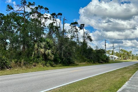 Land in Port Charlotte, Florida № 1543383 - photo 5