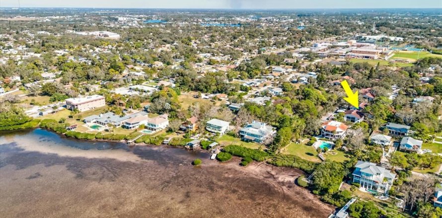 Condominio en Tarpon Springs, Florida, 2 dormitorios  № 1533818
