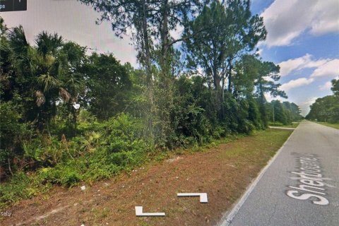 Land in Port Charlotte, Florida № 2205866 - photo 3