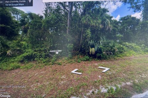 Land in Port Charlotte, Florida № 2205866 - photo 2