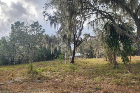 Terrain à Plant City, Floride № 2226509