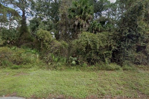 Land in Port Charlotte, Florida № 2232766 - photo 2