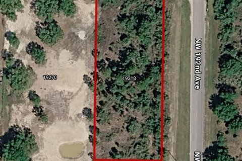 Land in Okeechobee, Florida № 2160460 - photo 7