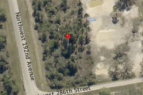 Land in Okeechobee, Florida № 2160460 - photo 3