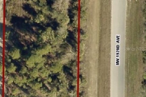 Land in Okeechobee, Florida № 2160460 - photo 4