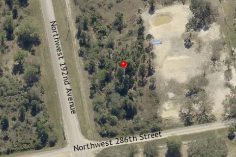 Land in Okeechobee, Florida № 2160460 - photo 6