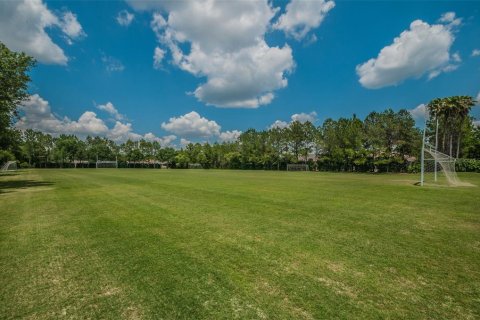 Land in Palm Harbor, Florida № 1386493 - photo 17