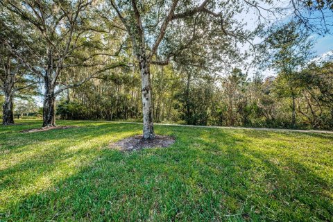 Land in Palm Harbor, Florida № 1386493 - photo 8