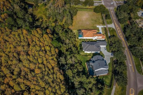 Land in Palm Harbor, Florida № 1386493 - photo 4