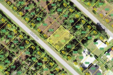 Land in Punta Gorda, Florida № 2160565