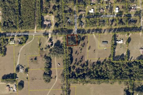 Land in Lake City, Florida № 2379524 - photo 4