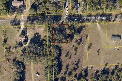 Land in Lake City, Florida № 2379524 - photo 3