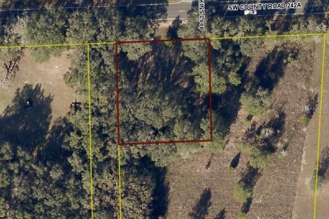 Land in Lake City, Florida № 2379524