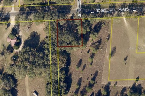 Land in Lake City, Florida № 2379524 - photo 2