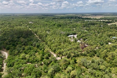 Terrain à vendre à Arcadia, Floride № 2159758 - photo 3