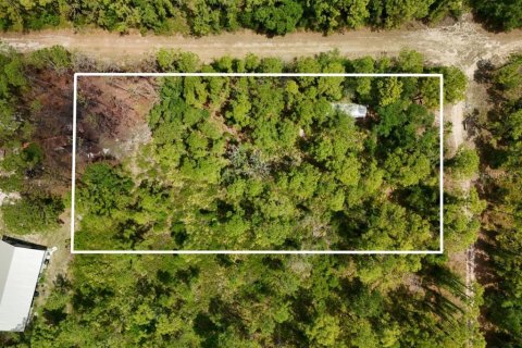 Terrain à Arcadia, Floride № 2159758
