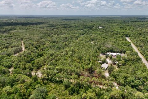 Terrain à vendre à Arcadia, Floride № 2159758 - photo 5