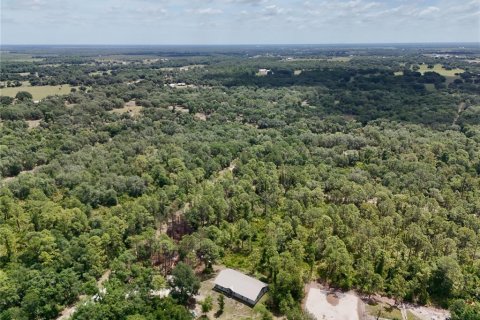Terrain à vendre à Arcadia, Floride № 2159758 - photo 6