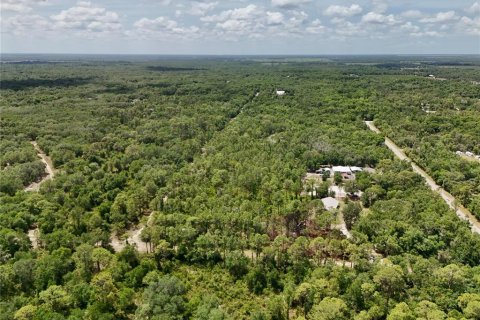 Terrain à vendre à Arcadia, Floride № 2159758 - photo 4
