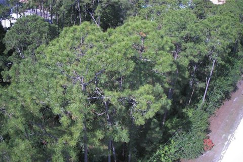 Terreno en venta en Loxahatchee Groves, Florida № 2021664 - foto 6