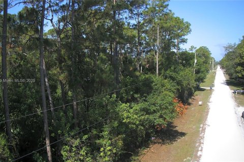 Terreno en venta en Loxahatchee Groves, Florida № 2021664 - foto 5