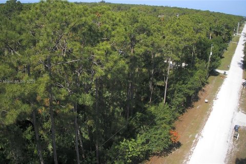 Terreno en venta en Loxahatchee Groves, Florida № 2021664 - foto 4