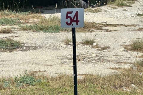 Terrain à vendre à Key Largo, Floride № 1930170 - photo 3