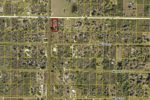Immobilier commercial à vendre à Okeechobee, Floride № 2177254 - photo 3