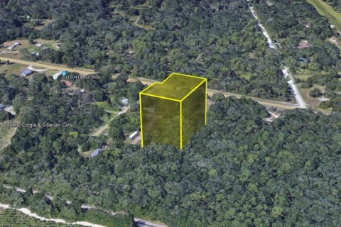Land in Spring Hill, Florida № 1718869 - photo 6