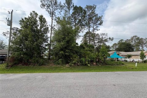 Terreno en Palm Coast, Florida № 2150527